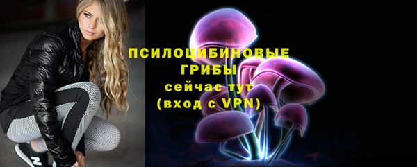 apvp Карпинск
