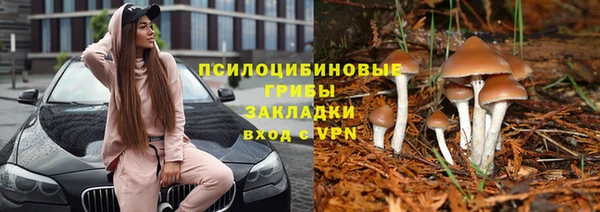 скорость Карталы