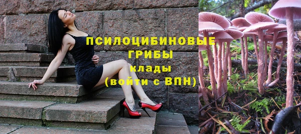 apvp Карпинск