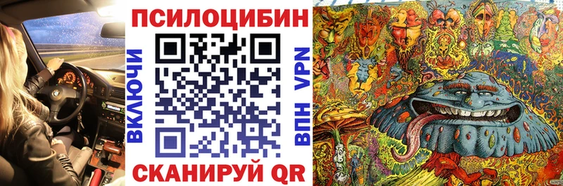 Купить  Богданович  Галлюциногенные грибы Magic Shrooms 